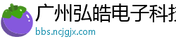 广州弘皓电子科技有限公司